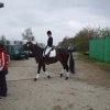 Leo und Sunny2